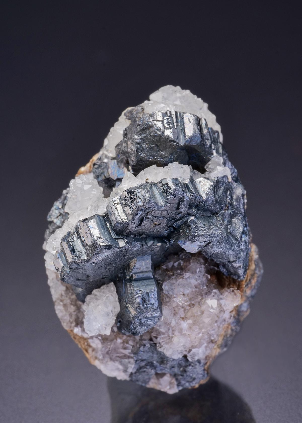 CC42138 specimen image