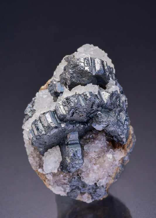 CC42138 specimen image