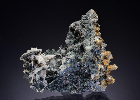 CC42142 specimen image