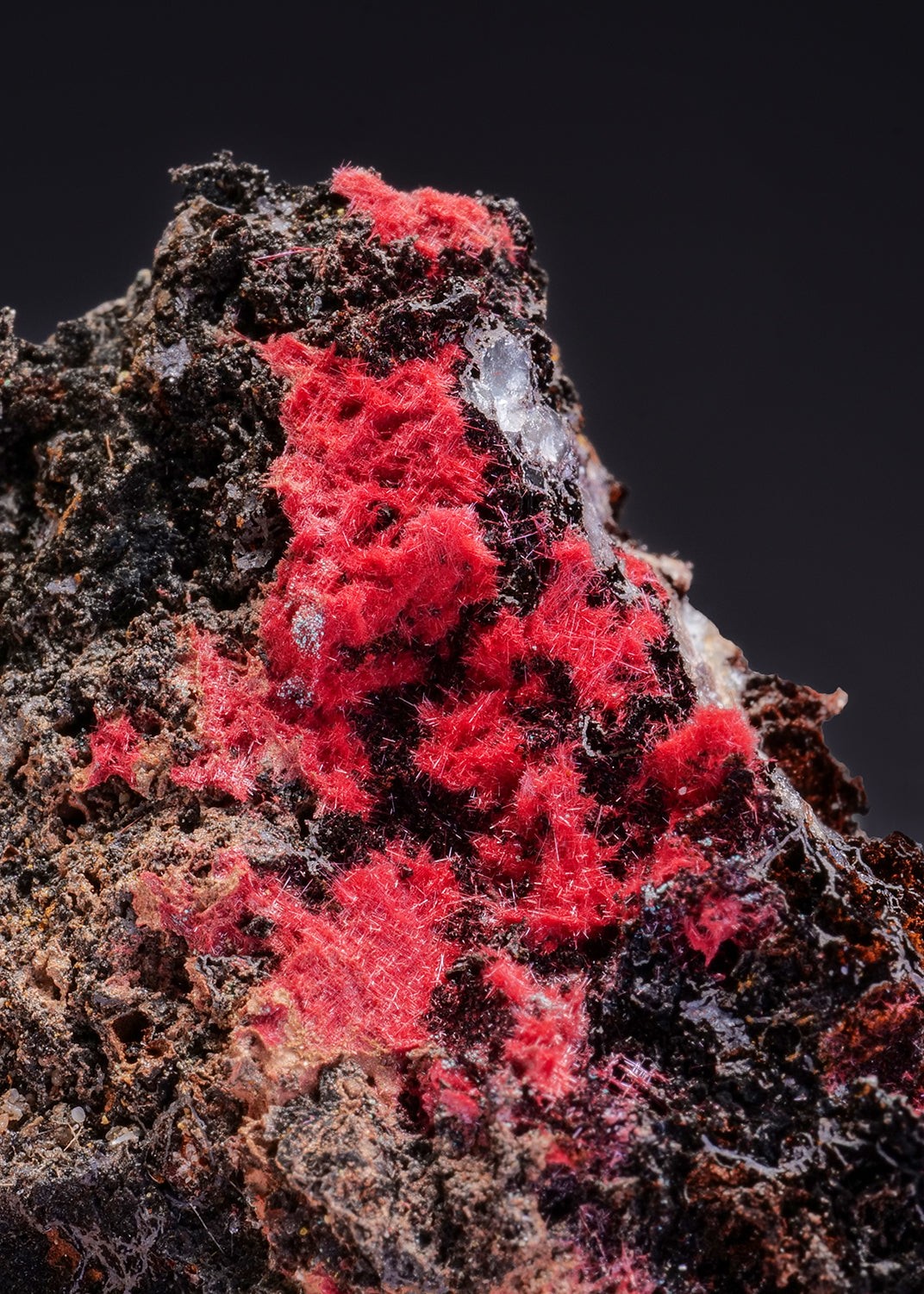 CUPRITE var. Chalcotrichite