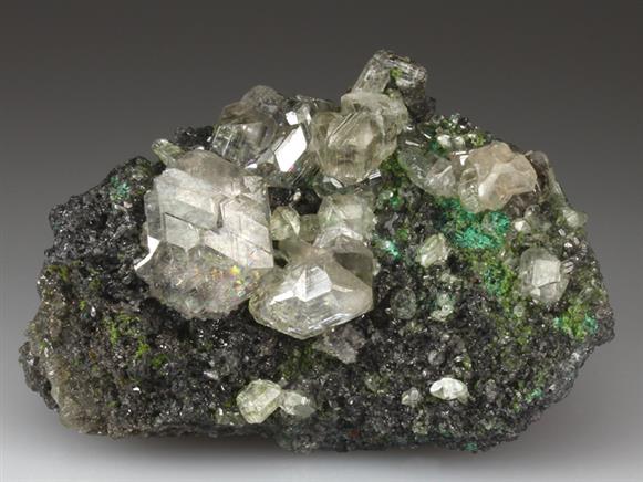 CC4218 specimen image