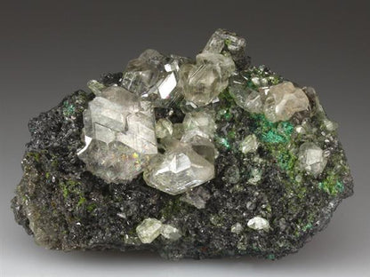 CC4218 specimen image