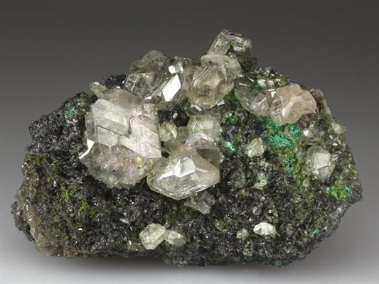 CC4218 specimen image