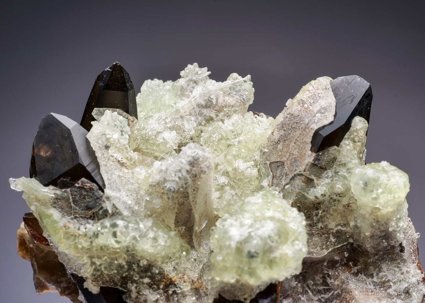 OPAL var. Hyalite on Smoky QUARTZ