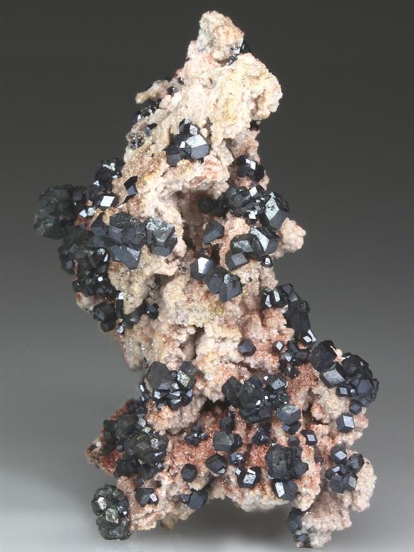 CC4220 specimen image