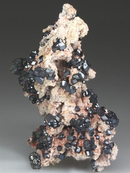 CC4220 specimen image
