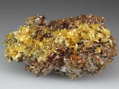CC4223 specimen image