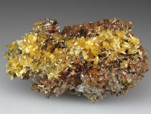CC4223 specimen image
