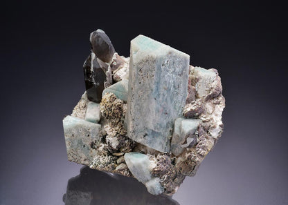 CC42274 specimen image