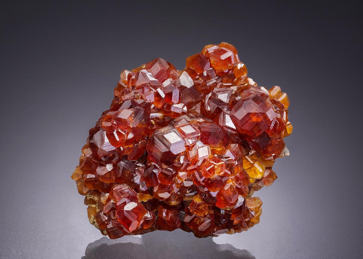 CC42276 specimen image
