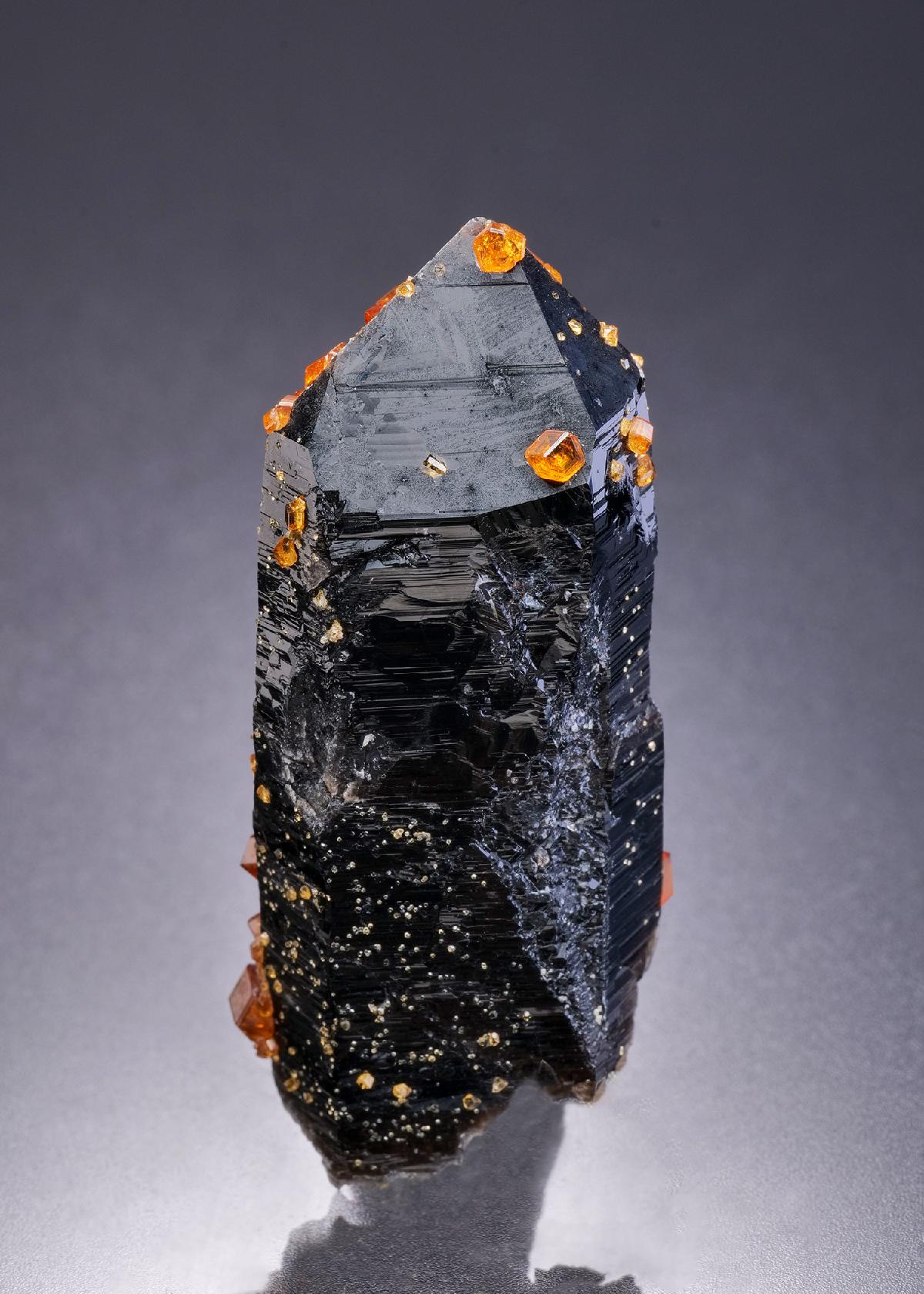 CC42290 specimen image