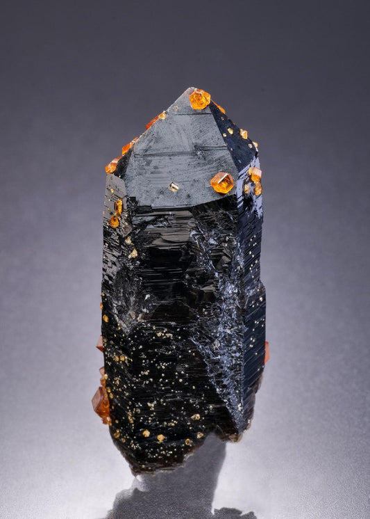 CC42290 specimen image