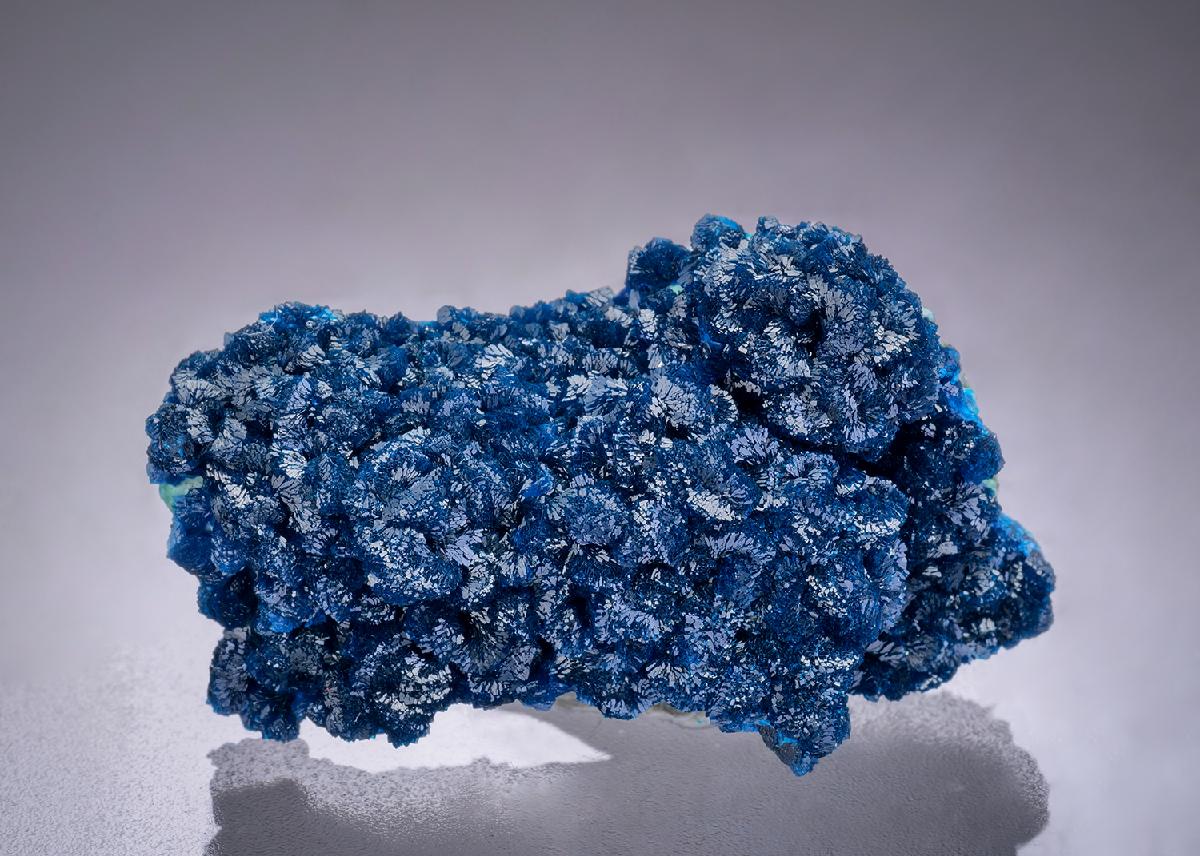 CC42310 specimen image