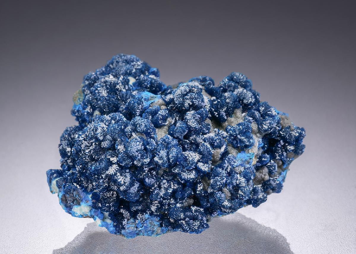 CC42354 specimen image