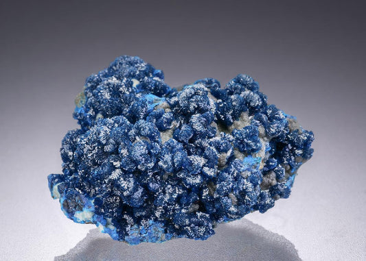 CC42354 specimen image