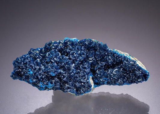 CC42364 specimen image