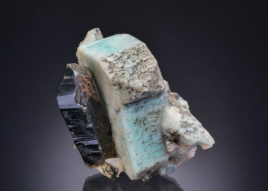 CC42374 specimen image
