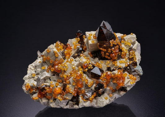 CC42384 specimen image