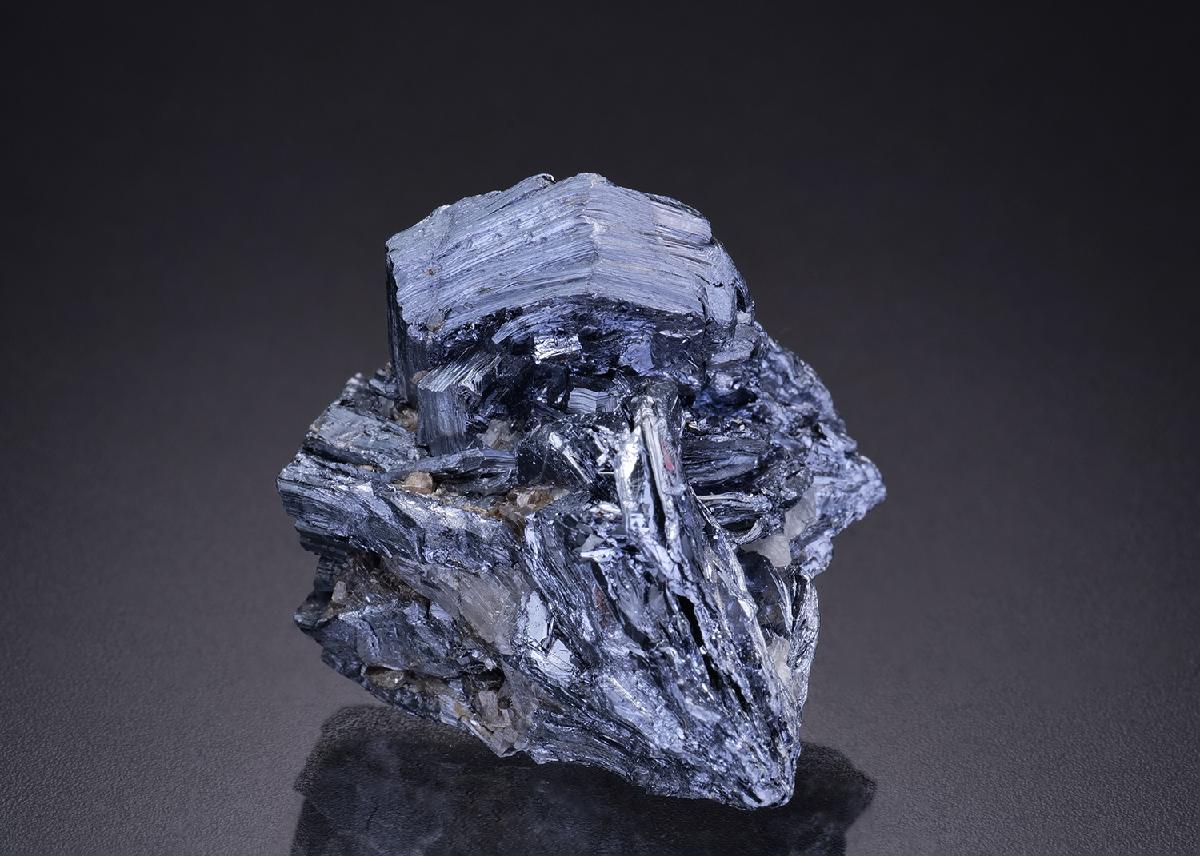 CC42386 specimen image