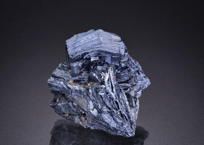 CC42386 specimen image