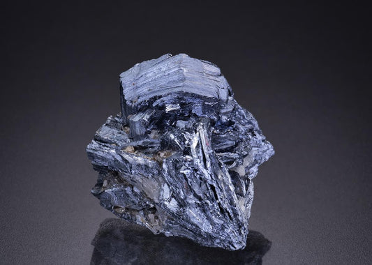 CC42386 specimen image