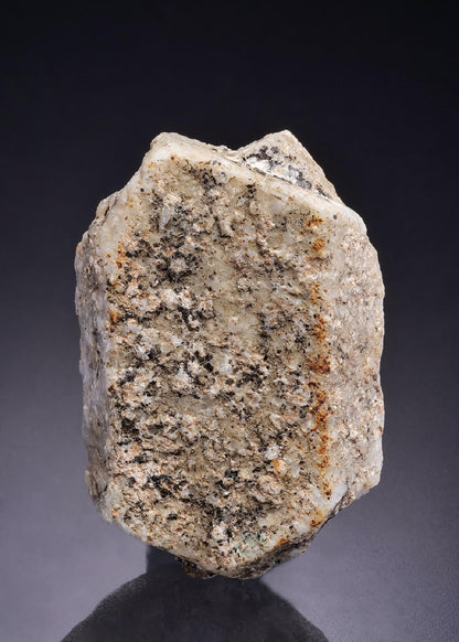 CC42408 specimen image