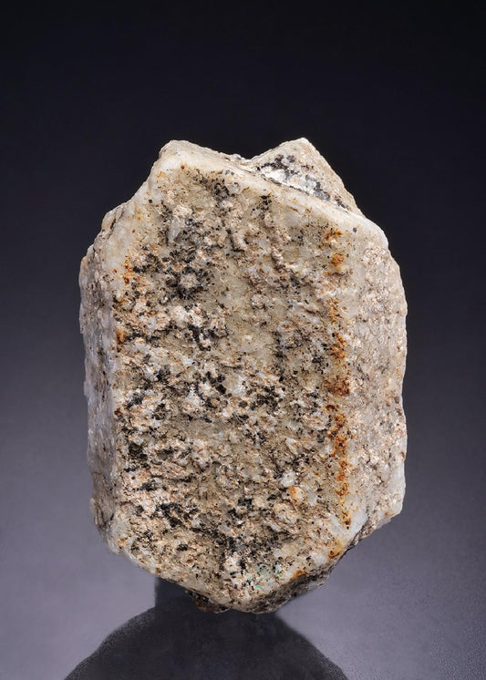 CC42408 specimen image