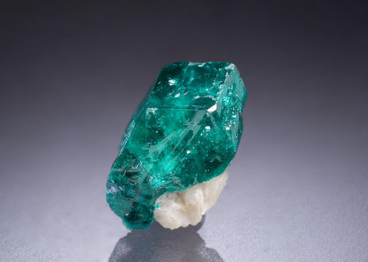 CC42416 specimen image