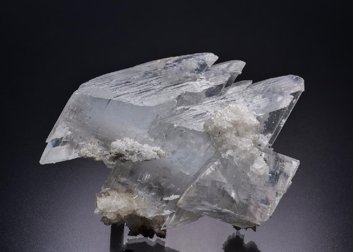 CC42420 specimen image