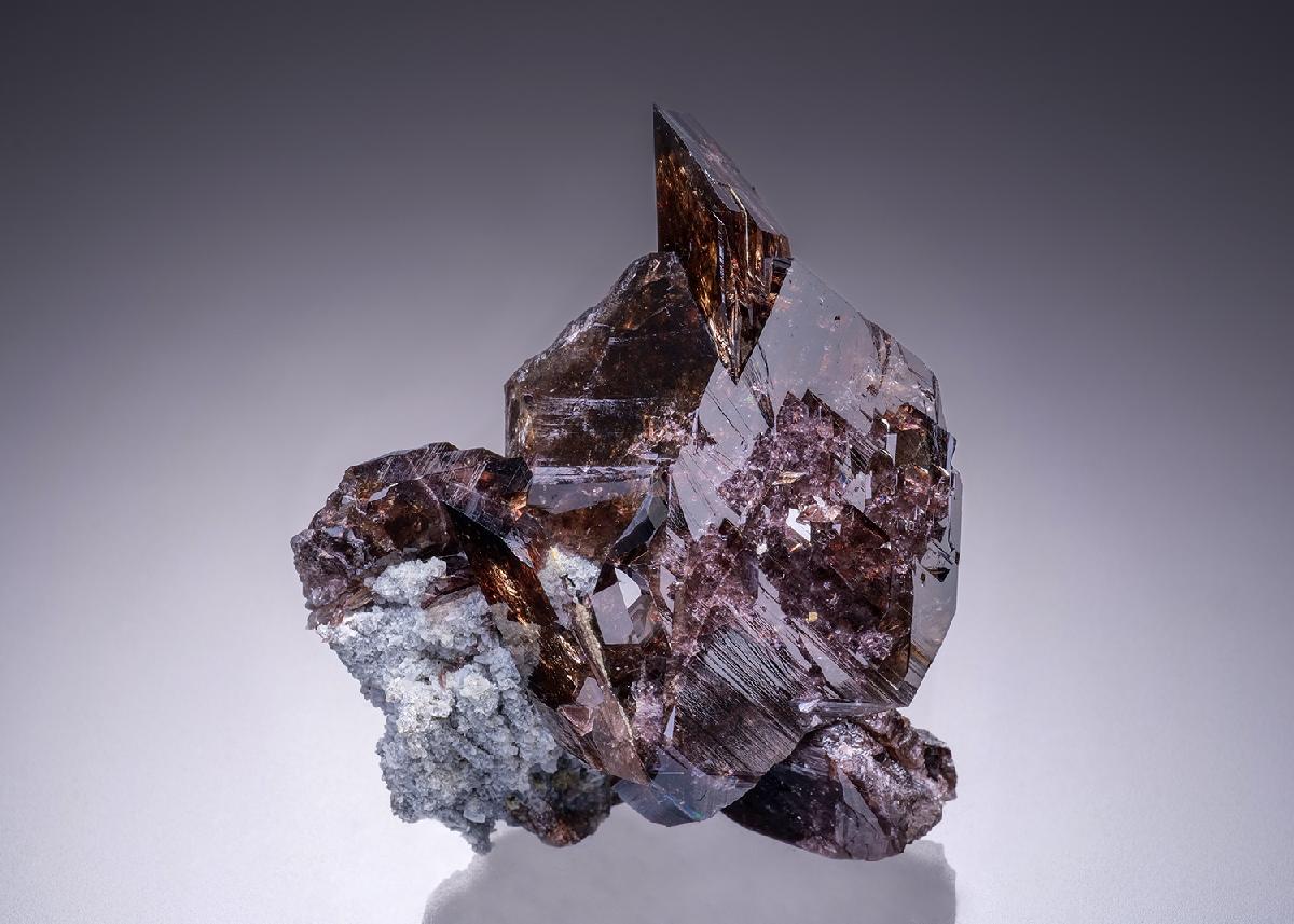 CC42434 specimen image