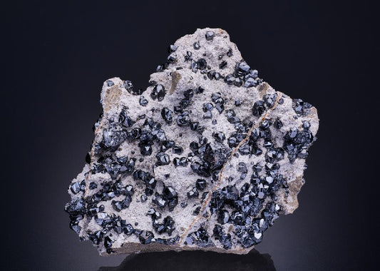 CC42438 specimen image