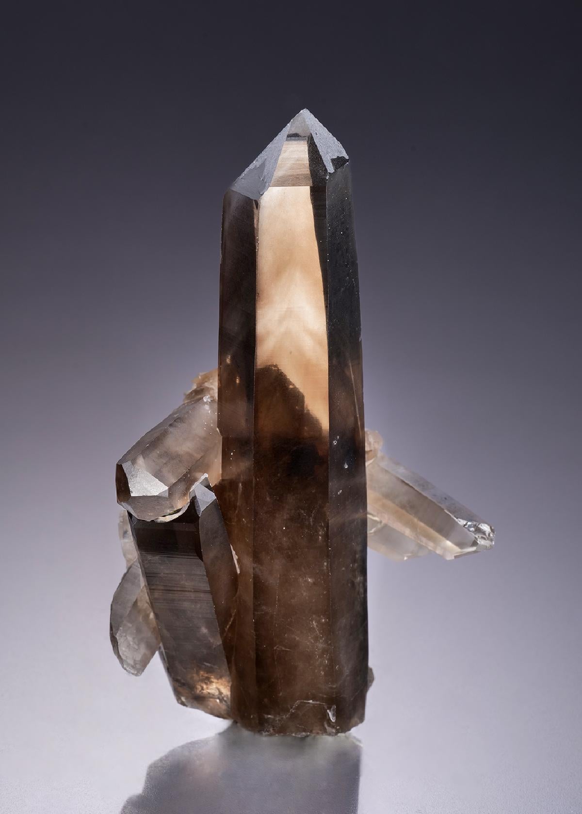 CC42442 specimen image