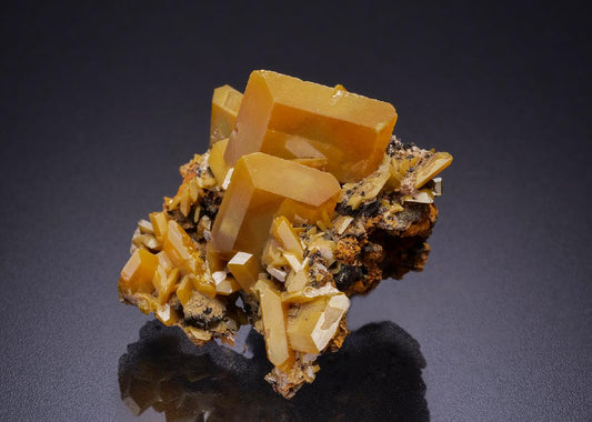 CC42476 specimen image