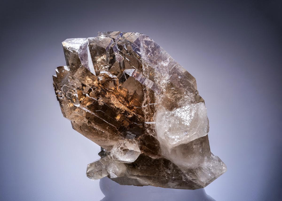 CC42514 specimen image