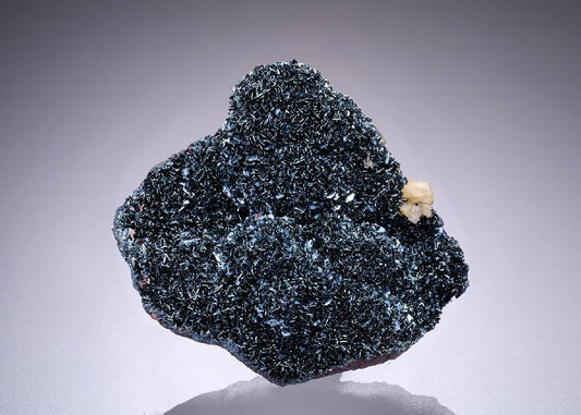 CC42530 specimen image