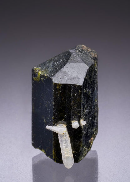 CC42532 specimen image