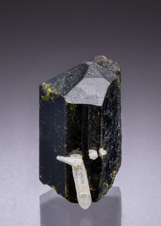 CC42532 specimen image