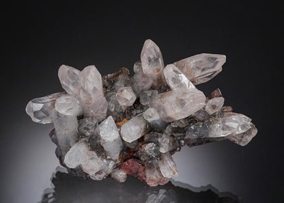 CC4254 specimen image