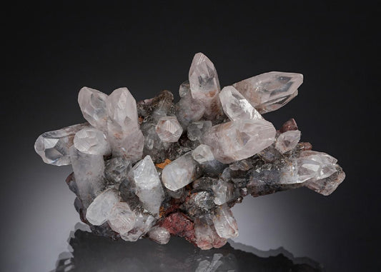 CC4254 specimen image
