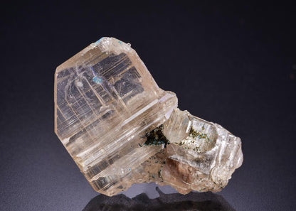 CC42548 specimen image