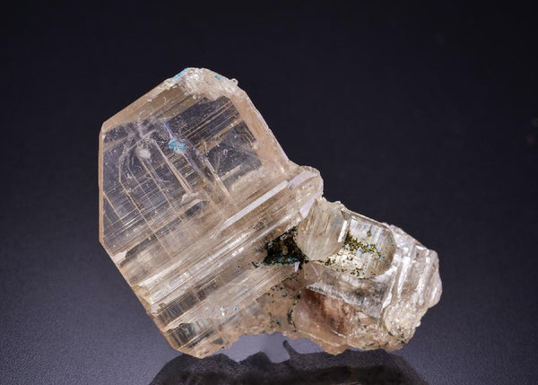 CC42548 specimen image