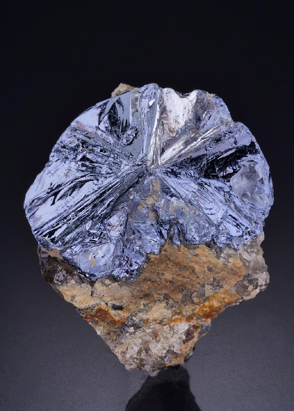 CC42550 specimen image