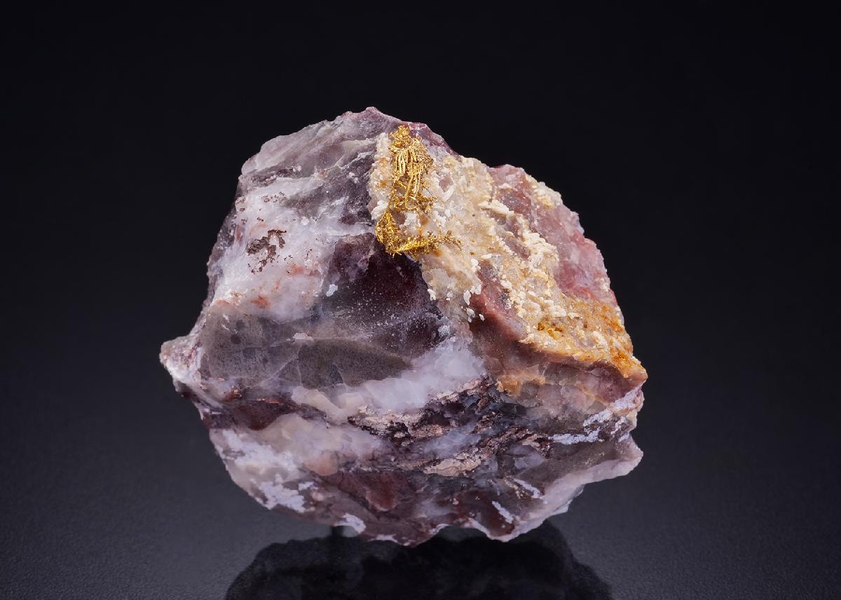 CC42554 specimen image
