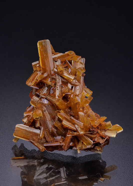 CC42558 specimen image