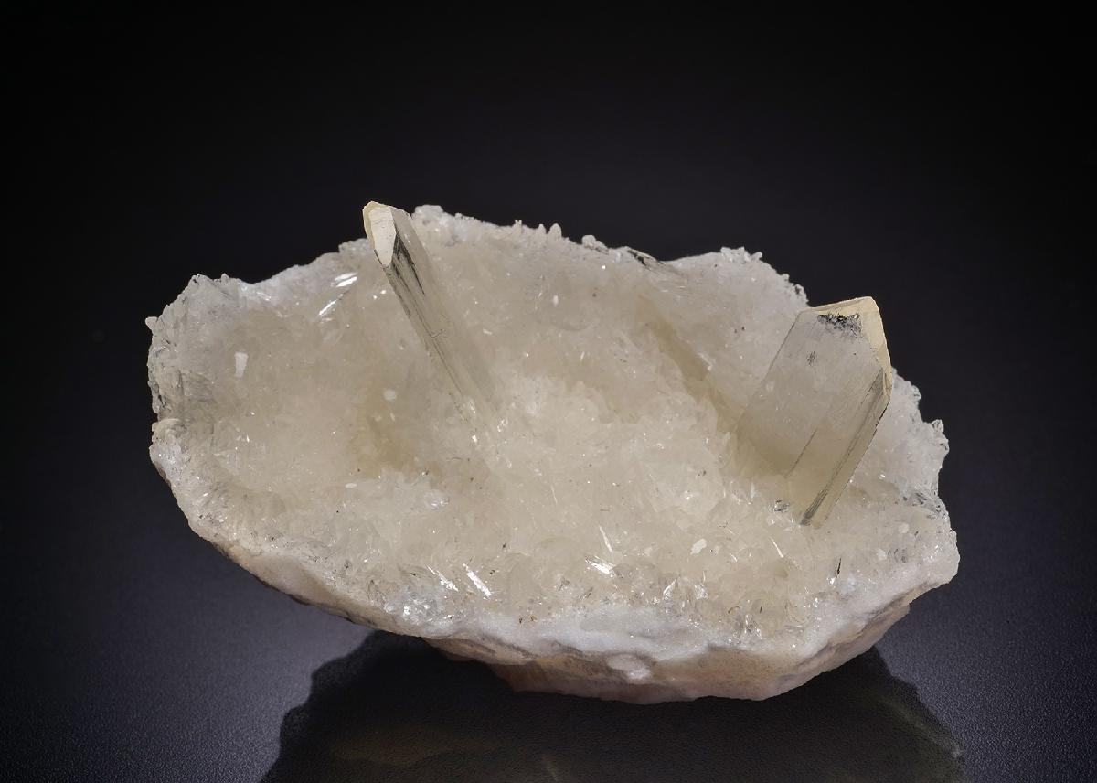 CC42562 specimen image