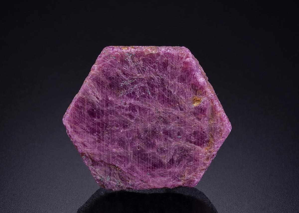 CC42570 specimen image