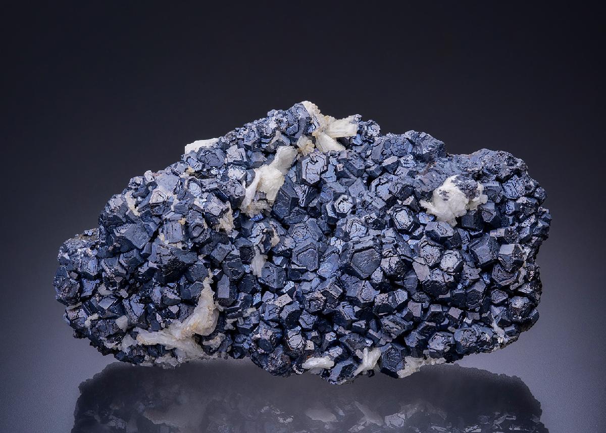 CC42584 specimen image