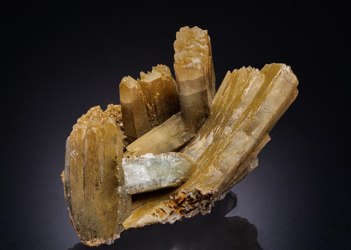 CC42592 specimen image