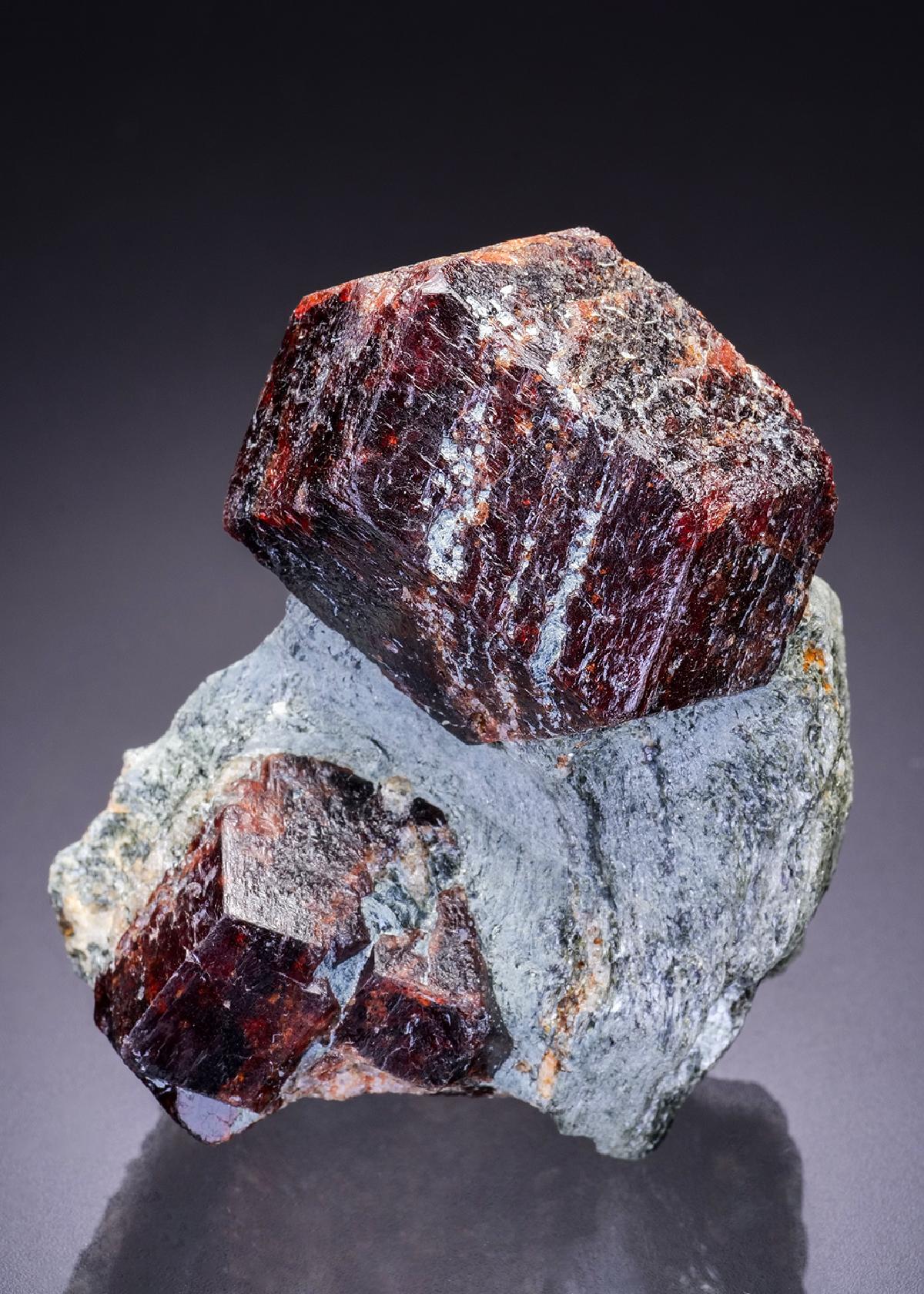 CC42598 specimen image