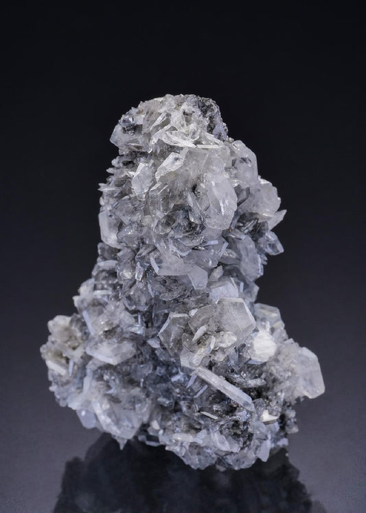 CC42612 specimen image